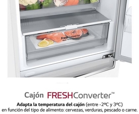 Frigorífico LG GBB62PZGCC1 – 384 Ltrs No Frost - ComproFacil