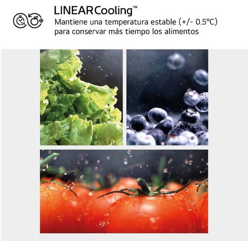 LG GBV3100EPY INOX - Frigorífico Combi No Frost