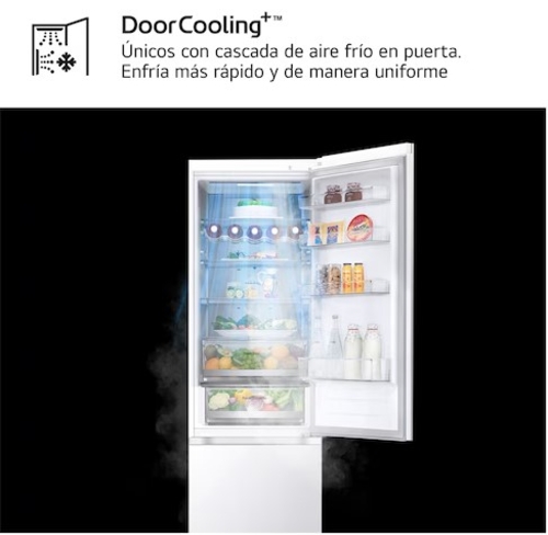 LG GBV7270ESW Blanco - Frigorífico Combi No Frost