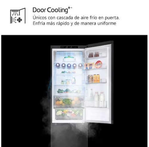 LG GBV3200CEP Negro - Frigorífico Combi No Frost