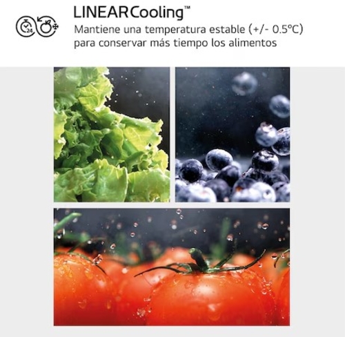 LG GBV3200CEP Negro - Frigorífico Combi No Frost