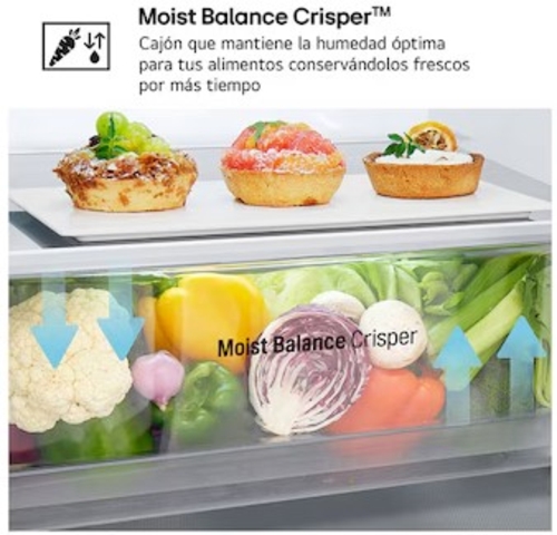 LG GBV3200CEP Negro - Frigorífico Combi No Frost