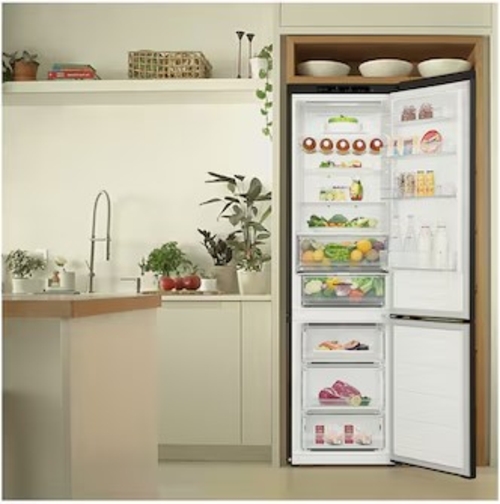 LG GBV3200CEP Negro - Frigorífico Combi No Frost