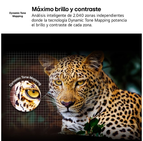 LG 50NANO81A6A Negro - TV 50" 4K UHD Smart TV