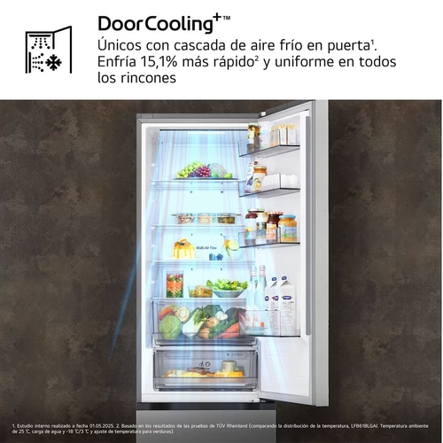 LG GBBSJ20DPY INOX - Frigorífico Combi No Frost