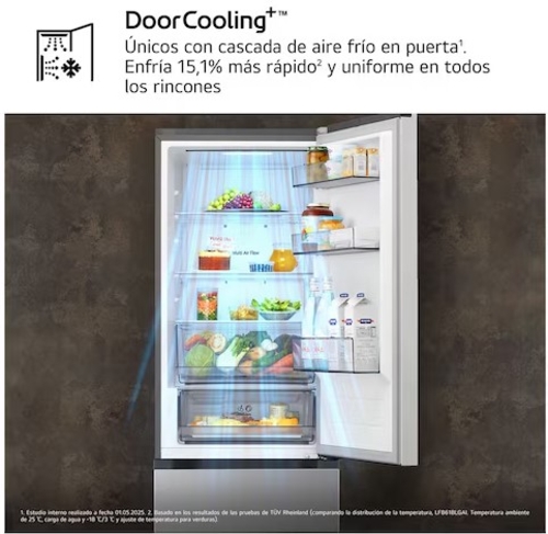 LG GBBSJ10DPY INOX - Frigorífico Combi No Frost