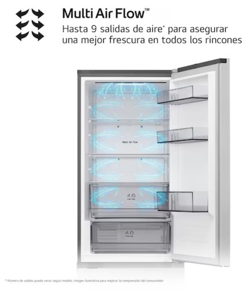 LG GBBSJ10DPY INOX - Frigorífico Combi No Frost