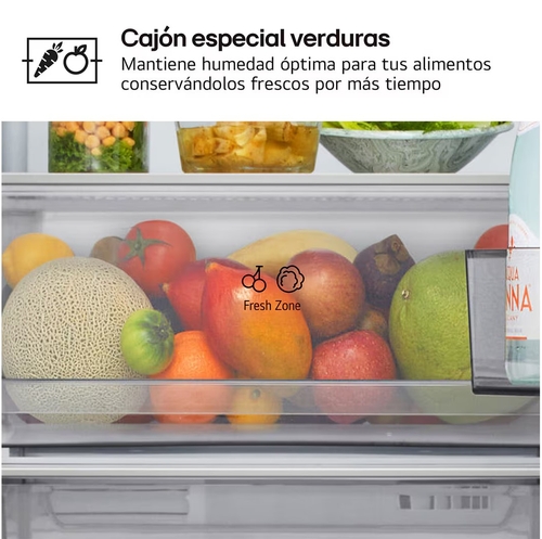 LG GBBSJ10DPY INOX - Frigorífico Combi No Frost