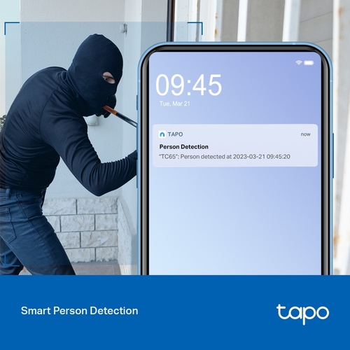 TPLINK TC65 Blanco - Cámara Vigilancia