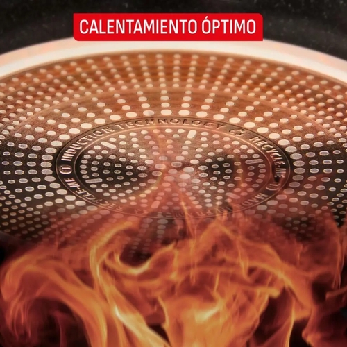 TEFAL EXPERTISE PLUS Negro - Sartén 24CM