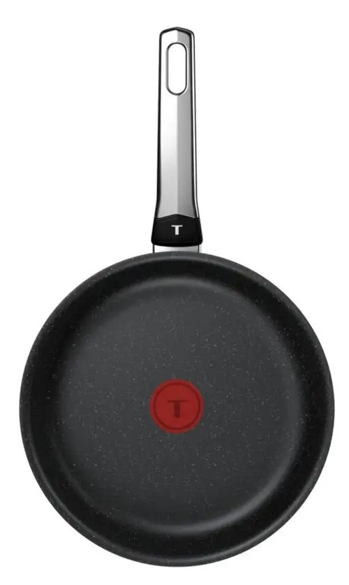 TEFAL EXPERTISE PLUS Negro - Sartén 26CM