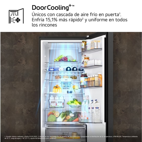 LG GBBS726CEV Acero Grafito - Frigorífico Combi No Frost