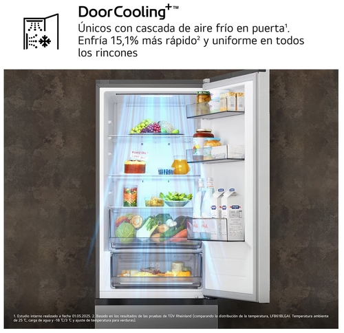 LG GBBSJ10EPY INOX - Frigorífico Combi No Frost