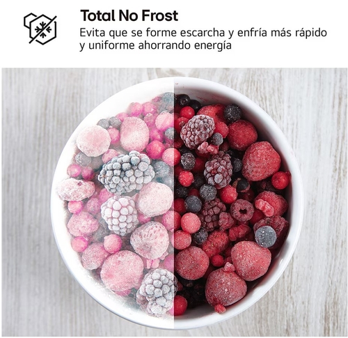 LG GTBV22PYNJ INOX - Frigorífico Dos Puertas No Frost