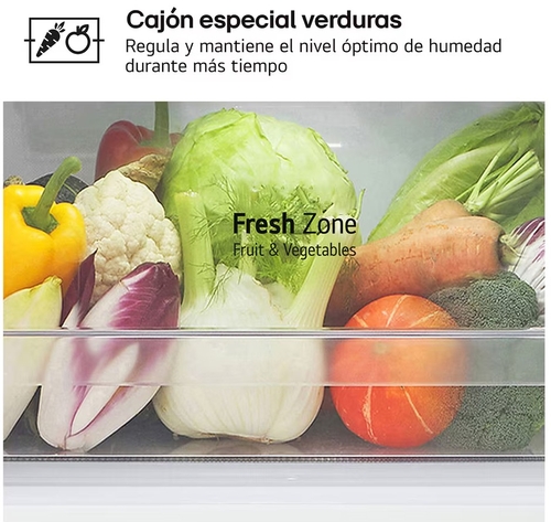 LG GTBV22PYNJ INOX - Frigorífico Dos Puertas No Frost
