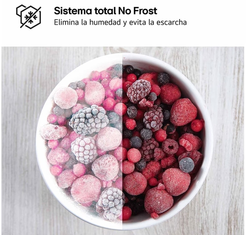 LG GTBV20SWGKD Blanco - Frigorífico Dos Puertas No Frost