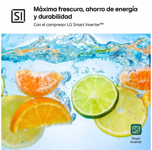 LG GTBV20SWGKD Blanco - Frigorífico Dos Puertas No Frost