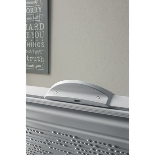 INDESIT OS 1A 300 H 2 BLANCO - Congelador Horizontal Cíclico