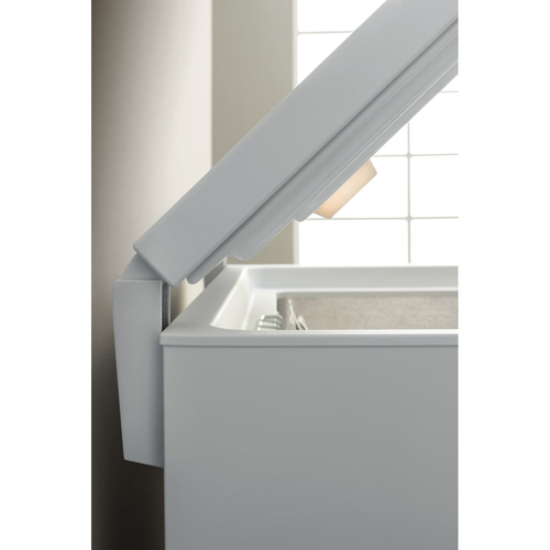 INDESIT OS 1A 300 H 2 BLANCO - Congelador Horizontal Cíclico