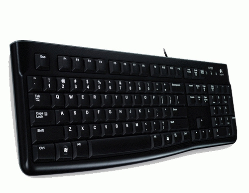 Teclado Logitech K120 Portugués Negro USB Alámbrico