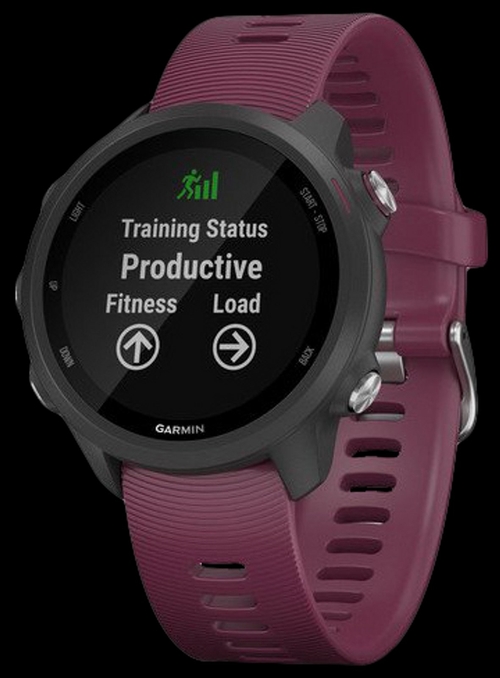 GARMIN FORERUNNER 245 Burdeos - Reloj Deportivo 30.4MM GPS