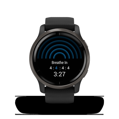 Garmin VENU 2 Negro 010-0243011 - Reloj Pulsera