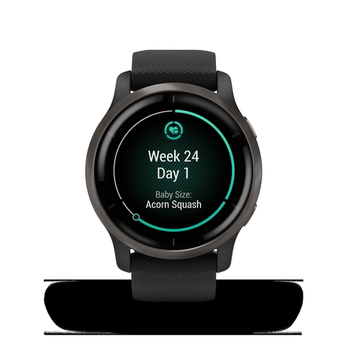 Garmin VENU 2 Negro 010-0243011 - Reloj Pulsera