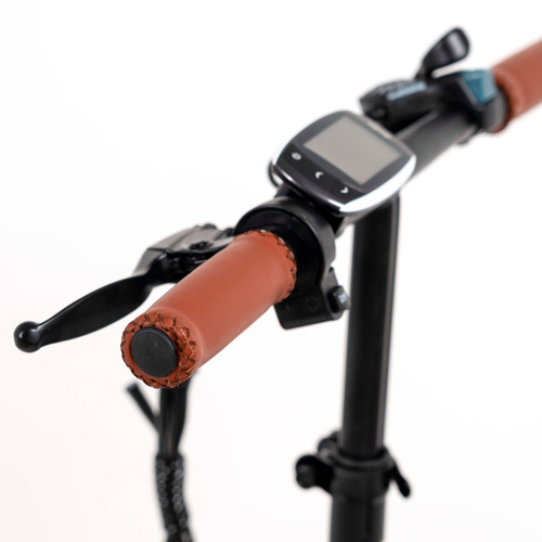 YOUIN YOU-RIDE Amsterdam - Bicicleta 20" 250W