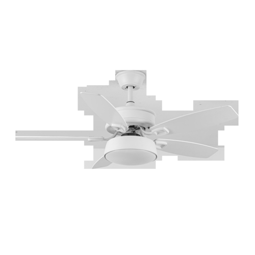 Abrila BRAW Blanco/Blanco-Blanco/Haya - Ventilador de Techo Aspas Normales 30 W F