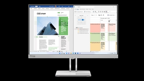 LENOVO L25E-40 Gris - Monitor 24.5" FULL HD