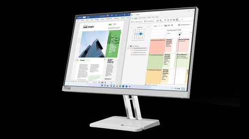 LENOVO L25E-40 Gris - Monitor 24.5" FULL HD