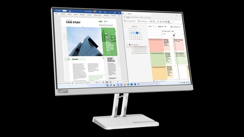 LENOVO L25E-40 Gris - Monitor 24.5" FULL HD