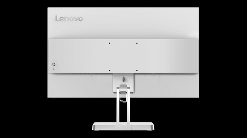 LENOVO L25E-40 Gris - Monitor 24.5" FULL HD