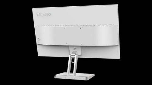 LENOVO L25E-40 Gris - Monitor 24.5" FULL HD