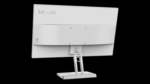 LENOVO L25E-40 Gris - Monitor 24.5" FULL HD