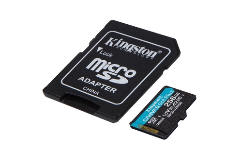 KINGSTON SDCG3 256GB Negro - Tarjeta de Memoria + Adaptador