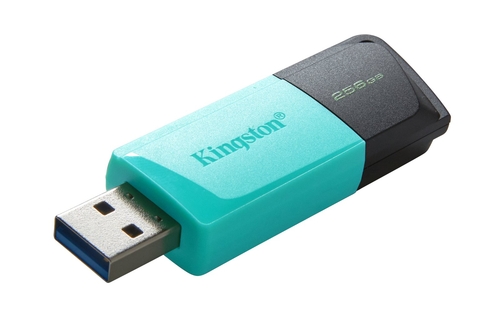 KINGSTON DATATRAVELER EXODIA DTXM Verde - Pendrive 256GB