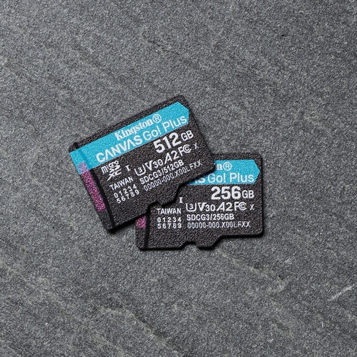 KINGSTON CANVAS GO PLUS A2 - Tarjeta de Memoria 512GB + ADAPTADOR