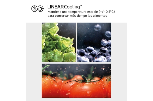 LG GMG961EVKE Acero Negro Grafito - Frigorífico Side by Side No Frost