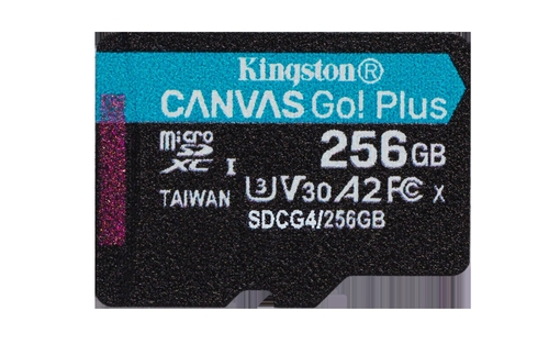 KINGSTON SDCG4 CANVAS GO PLUS - Tarjeta de Memoria 256GB + Adaptador