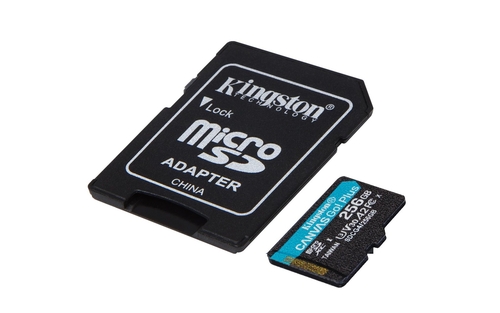 KINGSTON SDCG4 CANVAS GO PLUS - Tarjeta de Memoria 256GB + Adaptador
