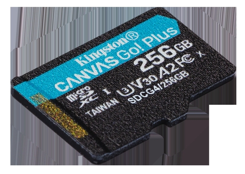 KINGSTON SDCG4 CANVAS GO PLUS - Tarjeta de Memoria 256GB + Adaptador