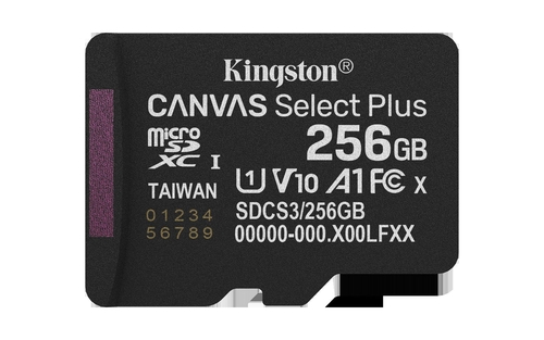 KINGSTON CANVAS SELECT PLUS Negro - Tarjeta de Memoria 256GB + Adaptador