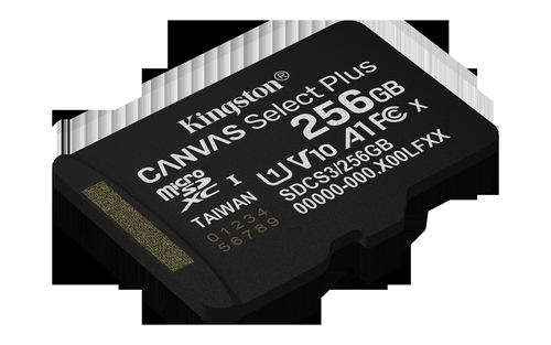 KINGSTON CANVAS SELECT PLUS Negro - Tarjeta de Memoria 256GB + Adaptador