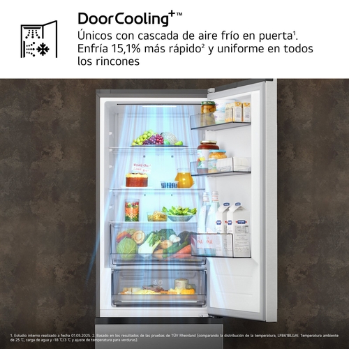 LG GBBSJ10EPY INOX - Frigorífico Combi No Frost