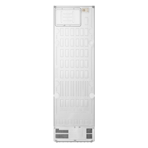 LG GBBSJ20EPY INOX - Frigorífico Combi No Frost