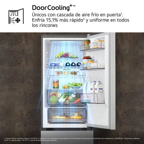 LG GBBS312CPY INOX - Frigorífico Combi No Frost