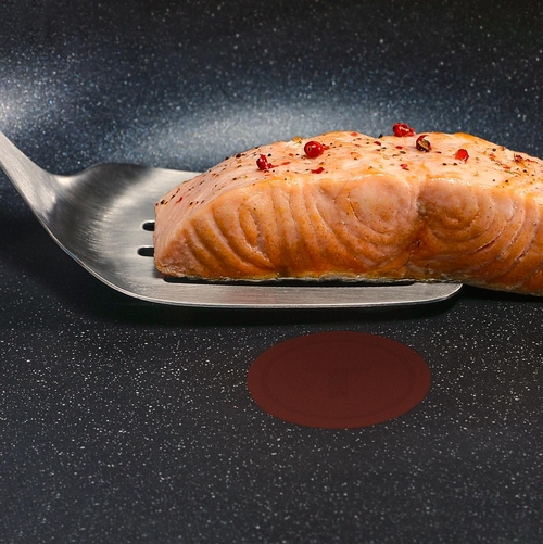 TEFAL WOK EXPERTISE PLUS Negro - Sartén 28CM