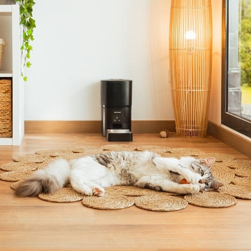 CECOTEC PUMBA 6000 PURRFECT MEAL SMART Negro - Comedero Para Mascotas