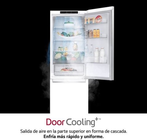 Frigorífico Combi LG GBB62SWGCC1